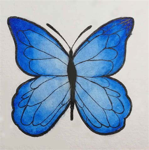 Comment Dessiner Un Papillon Crayons Et Pinceaux