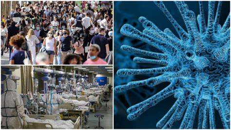 Endemia Ejemplos Cual Es La Diferencia Entre Epidemia Y Pandemia Blog
