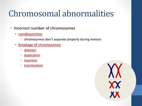 Ppt Errors Of Meiosis Chromosomal Abnormalities Powerpoint Presentation Id