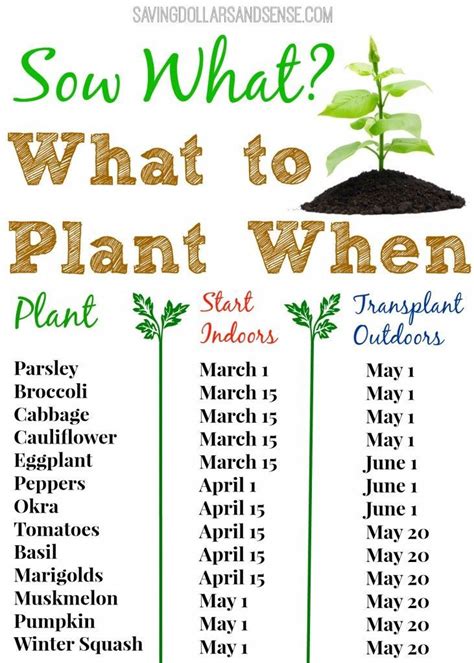 Check Out This Handy Gardening Chart To Know When To Start Growing Your
