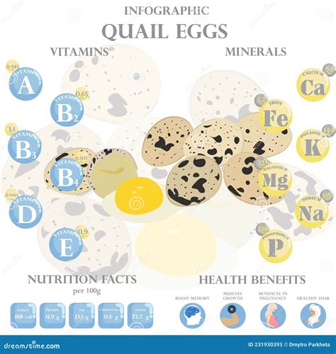Quail Eggs Nutrition Facts And Health Benefits Infographic Stock Vector