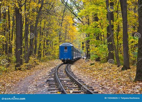 Railway And Train In Autumn Forest Stock Photo Image Of Natural Leaf