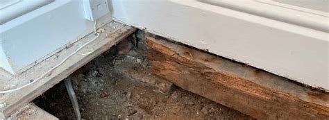 What Is Wet Rot Differences Between Wet Rot And Dry Rot