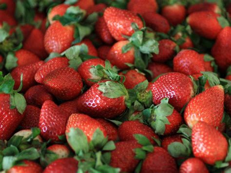 How To Freeze Strawberries Freezing Fresh Or Whole Strawberries Hgtv