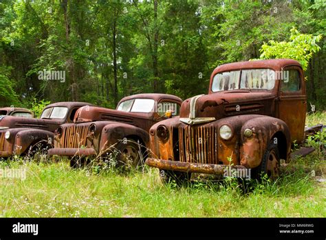 Vintage Ford Trucks And Cars Rusting Away In A Meadow In Crawfordville