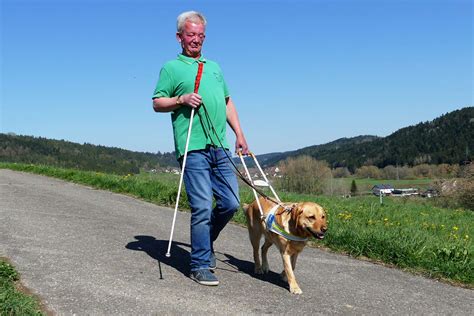 Vierbeiner Hilft Im Alltag Mit Dem Blindenhund Durch Böhringen