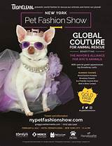 Pet Fashion Show Images