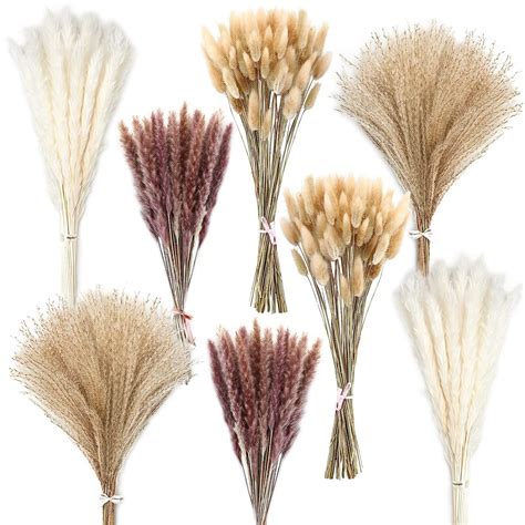 190 Pieces Pampas Grass Dried Pampas Grass Arrangement 60 Pcs White