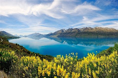 Nature Landscape Lake Yellow Wildflowers Turquoise