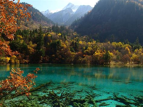 Lago De Las Cinco Flores Valle De Jiuzhaigou Sichuan China The