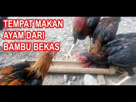 Ingin mencari tempat makan lesehan di cimahi sambil menikmati alam dan yang suasananya cocok tempat makan ini punya suasana yang nyaman. Hemat.. tempat makan ayam dari bambu bekas/sisa - YouTube