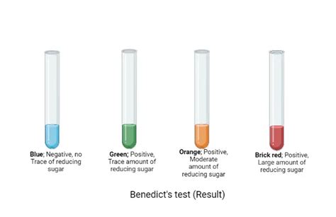Benedicts Test Principle Procedure Uses And Limitation Microbe