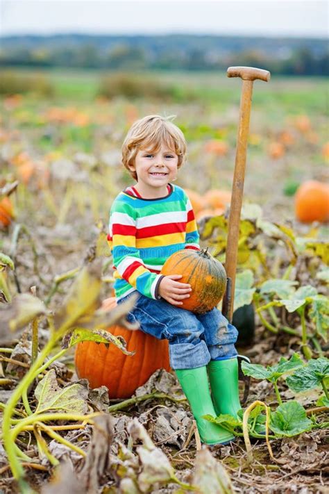 Adorable Little Kid Boy Picking Pumpkins On Halloween Pumpkin Patch