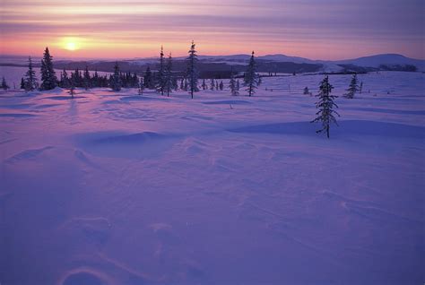 Sunset Over Snowy Arctic Tundra Photograph By Joel Sheagren Pixels