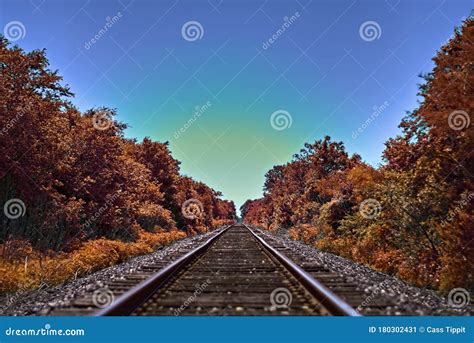 Railroad Track With Trees On Each Side Stock Image Image Of Remote