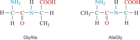 Dipeptide werden dabei aus zwei aminosäureresten zusammengesetzt. Dipeptide @ Chemistry Dictionary & Glossary
