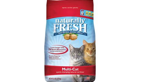 For one thing, cats are particular about. 5 Eco-Friendly Litters For Cat Parents Who Want To Go ...