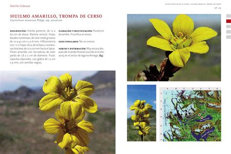 Libro flora torres del paine by Fernando Ruz - chileangarden - Issuu