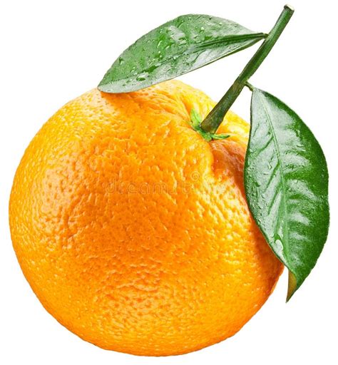 Orange Avec Des Feuilles Au Dessus De Blanc Photo Stock Image Du