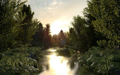 Forest River Sunset Wallpapers High Quality Download Free