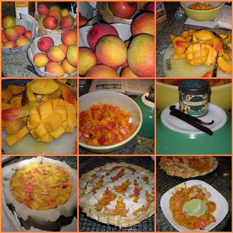 Mango Mosaic 1 Mangos Everywhere 2 Mango Overload 3 M Flickr