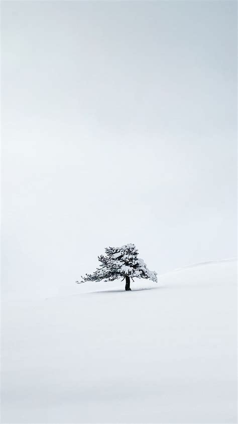 Download Wallpaper 1080x1920 Tree Snow Minimalism Winter White