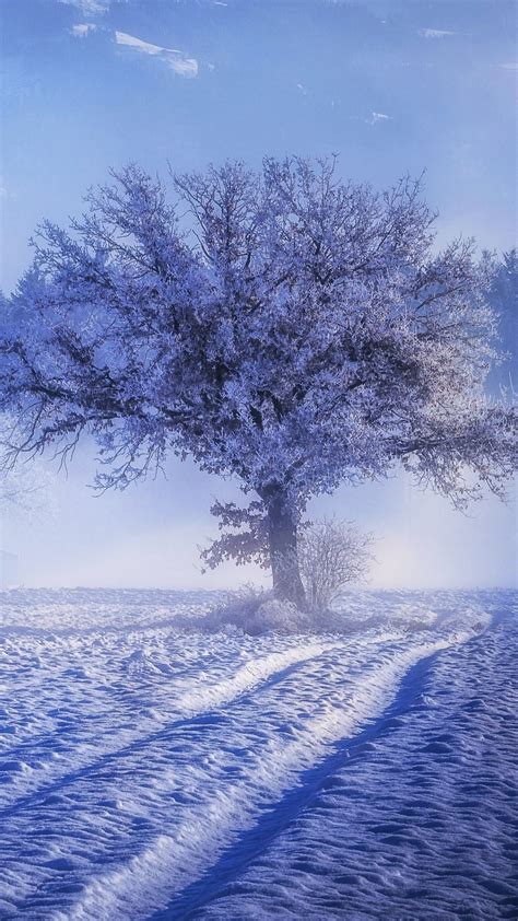 1080x1920 Snow Trees Fog Landscape Hd Winter For Iphone 6 7 8