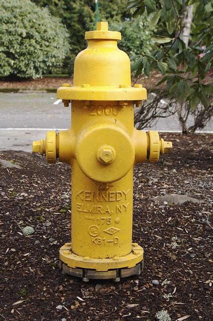 Thingiverse is a universe of things. Yellow Fire Hydrant. | Flickr - Photo Sharing!
