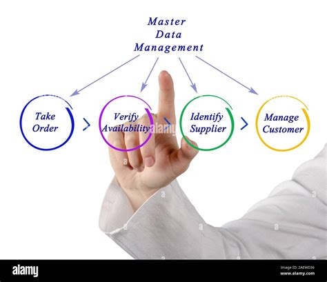 Diagram Of Master Data Management Stock Photo Alamy