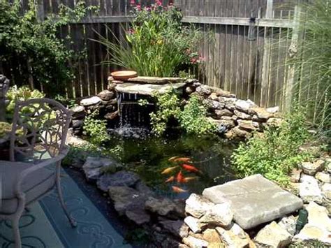 These don't necessarily have to be elaborate and. A BACKYARD FISH POND - YouTube