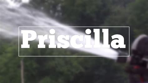 How To Spell Priscilla Youtube