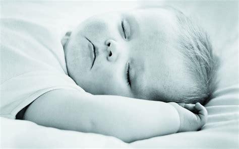 Free Picture Photographydownload Portrait Gallery Sleeping Baby