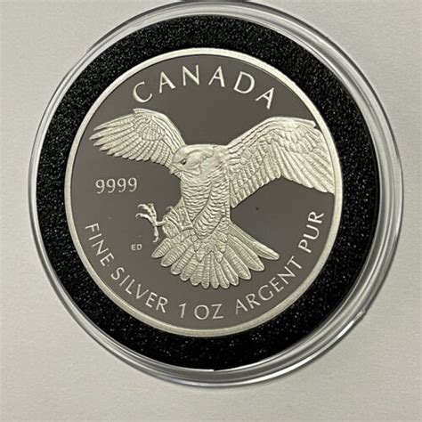 2014 Peregrine Falcon Birds Of Prey Proof Round Coin 1 Troy Oz 9999