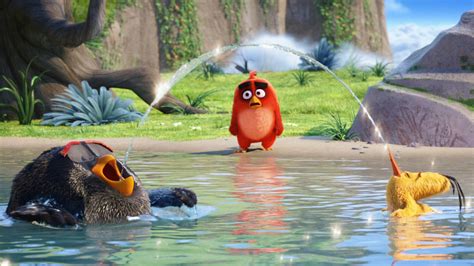 Angry Birds 4k Wallpaper For Pc Awesome Wallpaper For Desktop Pc