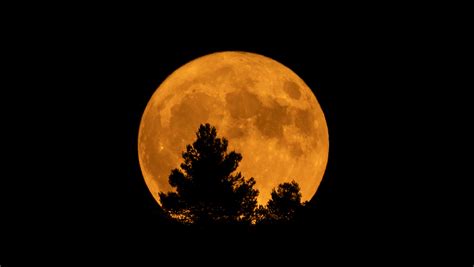 When Is The Blue Moon 2023 How To See The 2nd August Full Moon