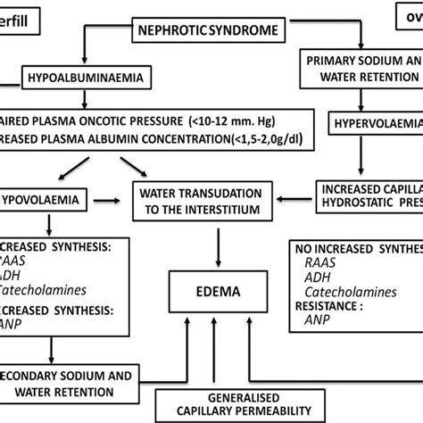 Current Of A Nephrotic Syndrome In Children At Different Types Of