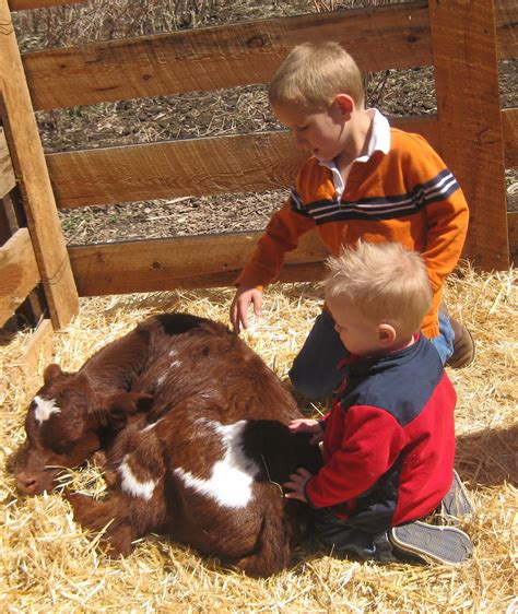 THE JOHNSTON CIRCUS: Baby Animal Days - Heritage Farm- Logan UT