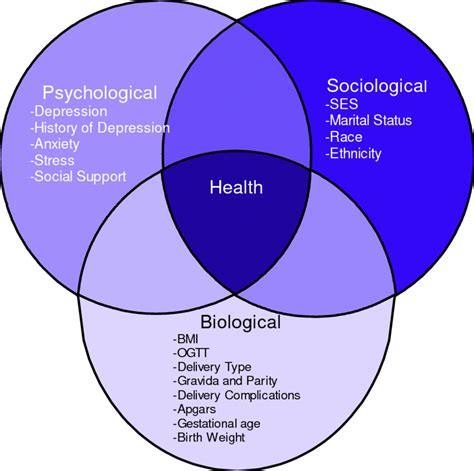 The Biopsychosocial Model For The Study Of Depression And Gestational