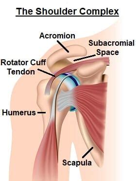 Subacromial Impingement Gregory Nicholson Md Gregory Nicholson Md
