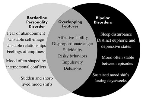 Cureus Structural Mri Brain Alterations In Borderline Personality Disorder And Bipolar Disorder