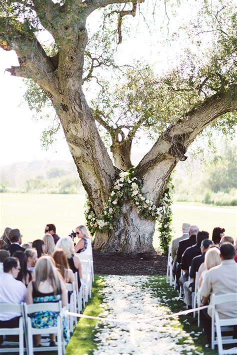 Wedding tree backdrop outdoor ceremony - A wedding signifies the