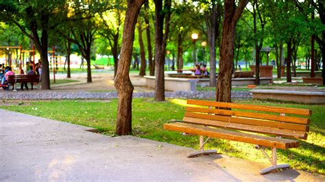 Importancia de los parques urbanos - Parques Alegres I.A.P.