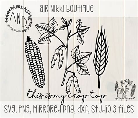 This Is My Crop Top Corn Wheat Soy Beans Svg Png Studio Etsy