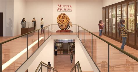 Mütter Museum Announces Renovation Plans To Expand Exhibition Space By