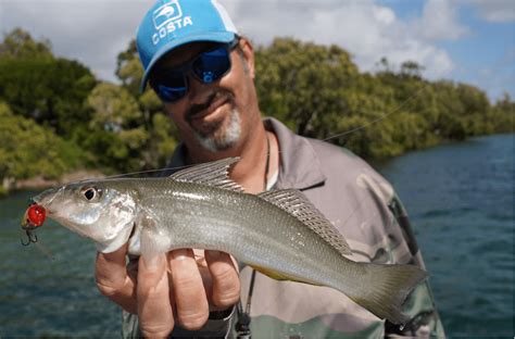 Fishing For Whiting Catching Whiting Addict Tackle