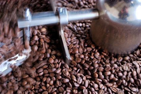 How to Become an Artisan Coffee Roaster: The Basics