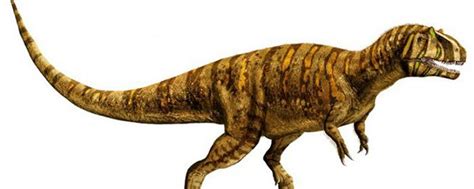 Jurassic World O Mundo Dos Dinossauros Revela Novas Imagens Dos