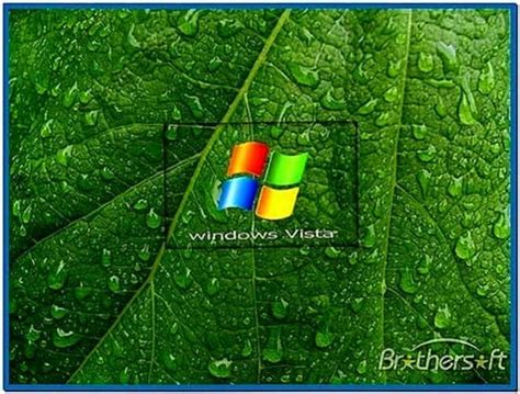 Video Screensaver Windows Vista Download Screensaversbiz