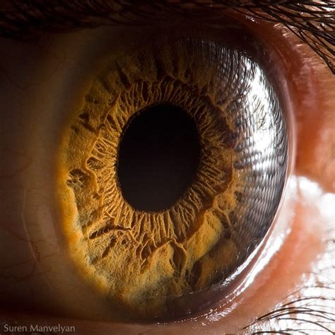 Your Beautiful Eyes Amazing Close Up Photos Of Human Eyes By Suren