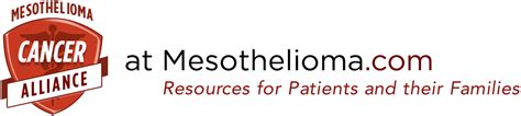 Mesothelioma has a long latency period of typically between 20 and 50 years, meaning that when somebody has exposure to asbestos dust, it can then take quite some time before mesothelioma develops. How Much Asbestos Exposure Causes Mesothelioma?